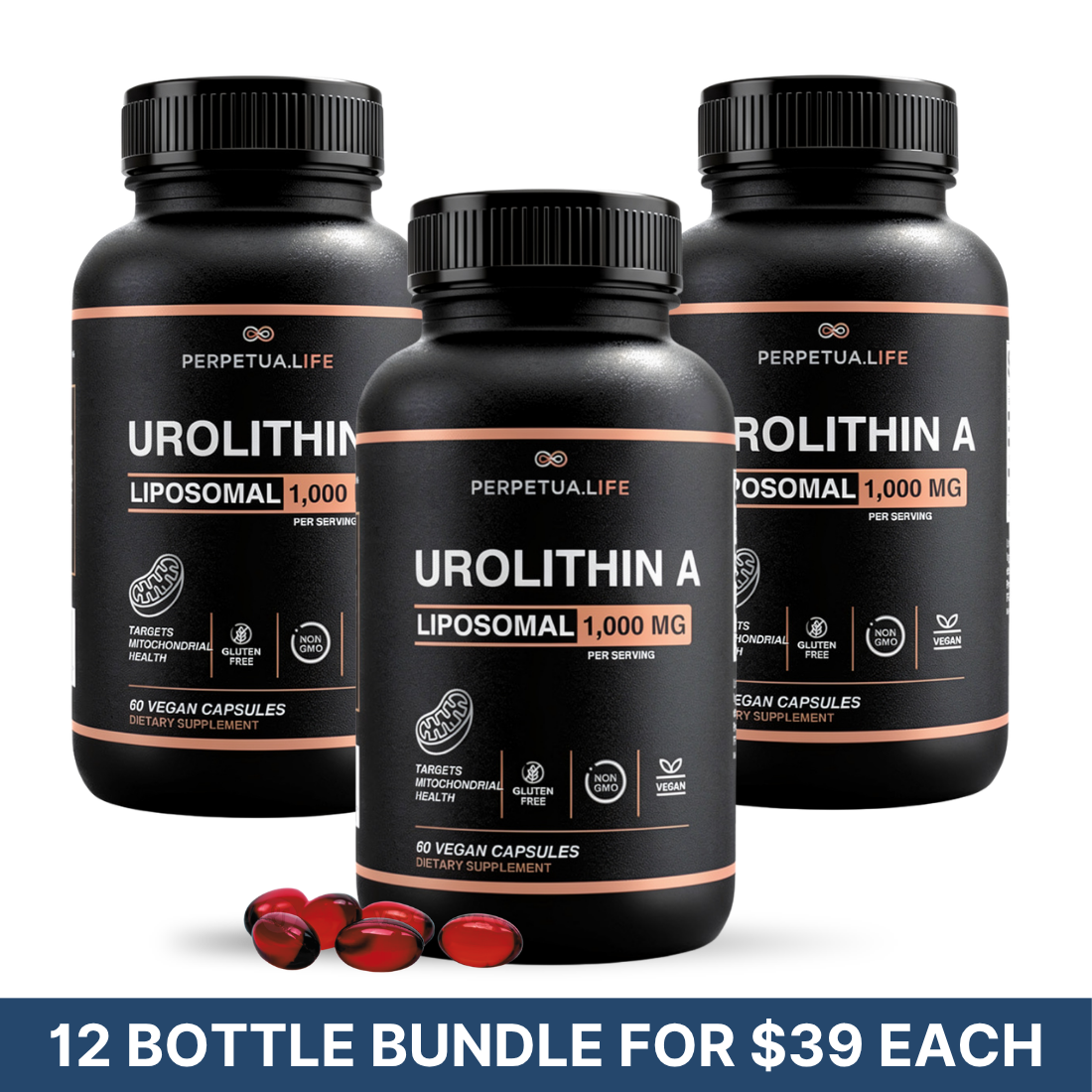 Urolithin A 12-Bottle Bundle