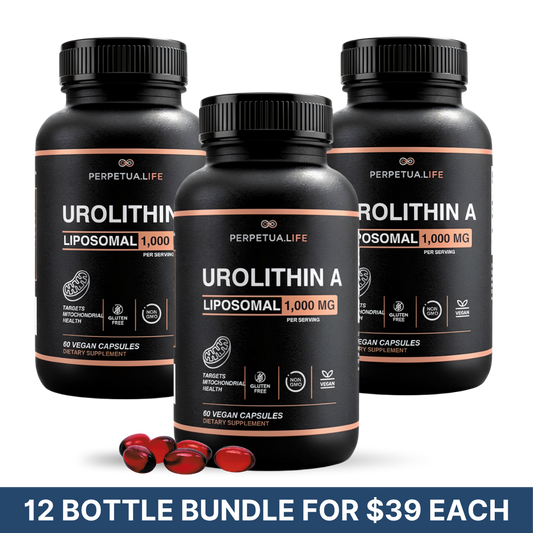 Urolithin A 12-Bottle Bundle